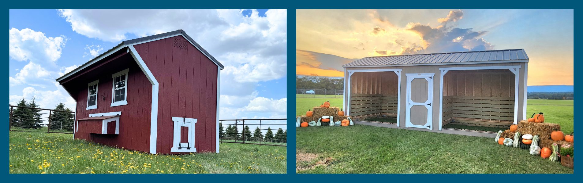 Animal Shelter and Chicken Coop